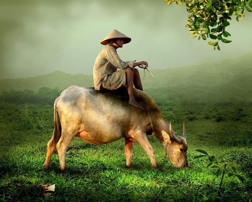 Encantos de Indochina (viaje en grupo)